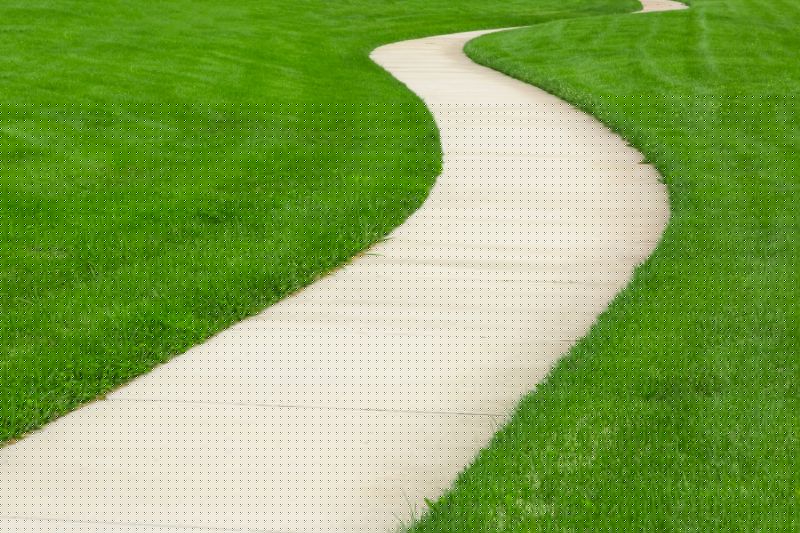 Backyard Walkway Construction