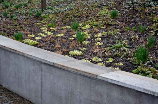 Concrete Wall Construction in Bowie