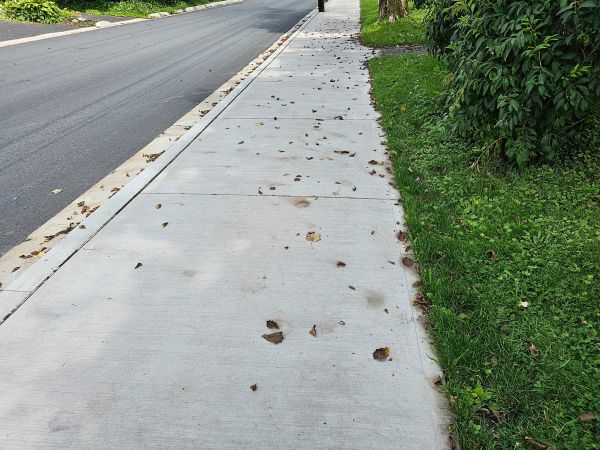 Sidewalk Renovation in Bowie