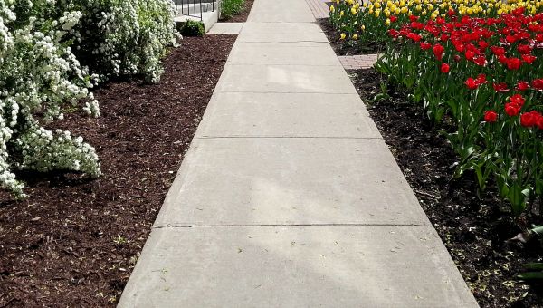 Cement Sidewalk Installation in Bowie
