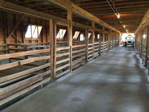 Barn Floor Pouring in Bowie