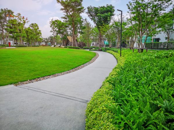 Cement Walkway Service in Bowie