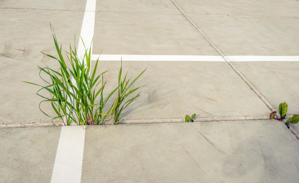 Concrete Parking Installation in Bowie