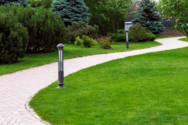 Backyard Sidewalk Installation in Bowie